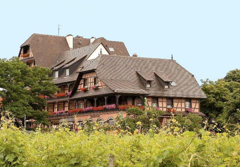 Hotel Munsch Restaurant & Wellness, Colmar Nord - Haut-Koenigsbourg Saint-Hippolyte  Bagian luar foto